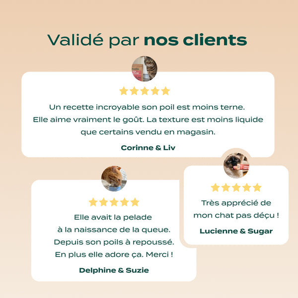 pack-peau-et-pelage-chat