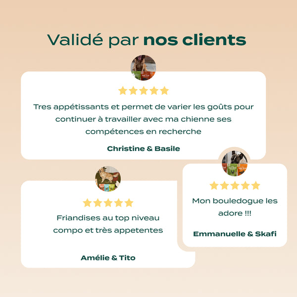 trio-viande-sechee