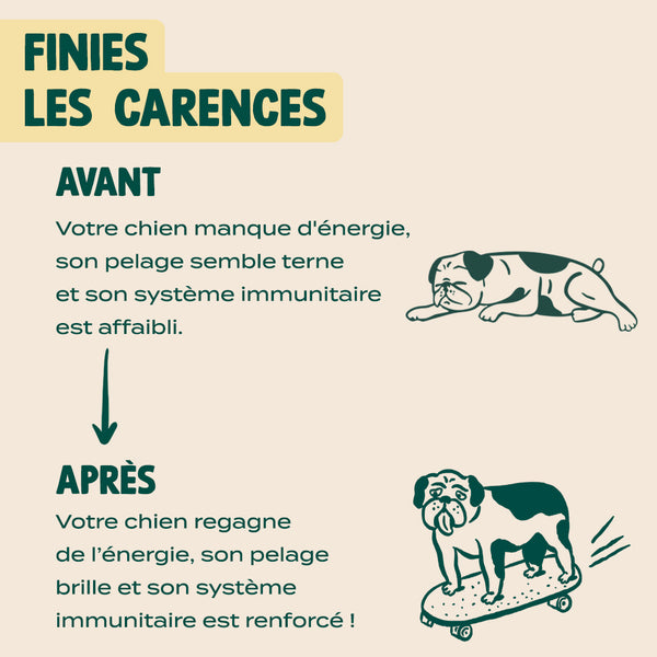 huile-de-chanvre-bio