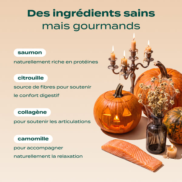 bouchees-ensorcelees-saumon-citrouille