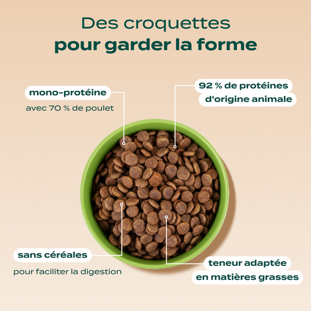POULET, COURGE, MYRTILLE
