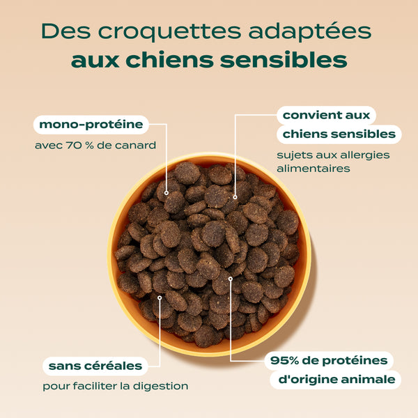 canard-pomme-carotte