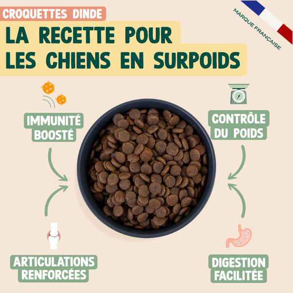 pack-surpoids-chien