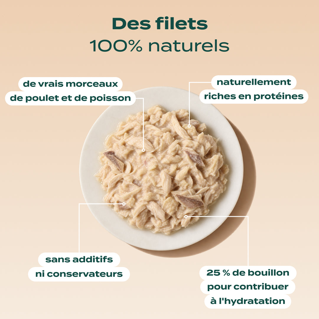 POULET & THON
