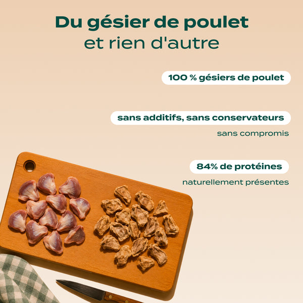 snack-gesier-de-poulet