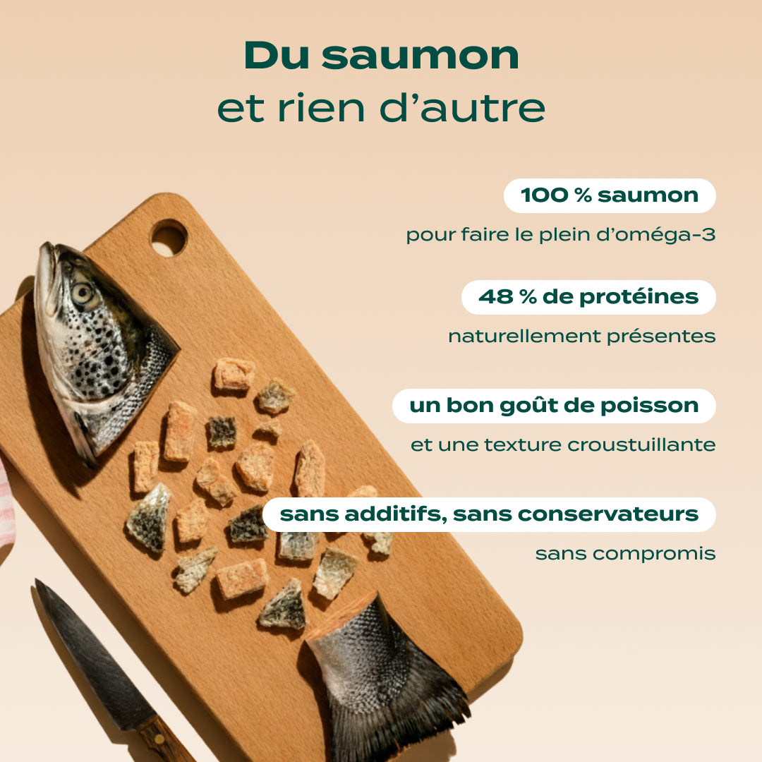 DUO SNACK SAUVAGE