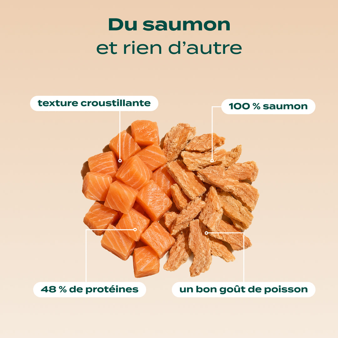 DUO SNACK SAUVAGE