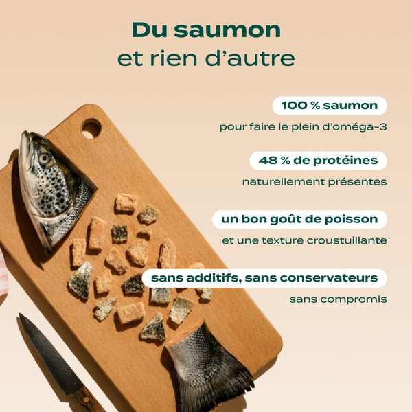 duo-snack-sauvage