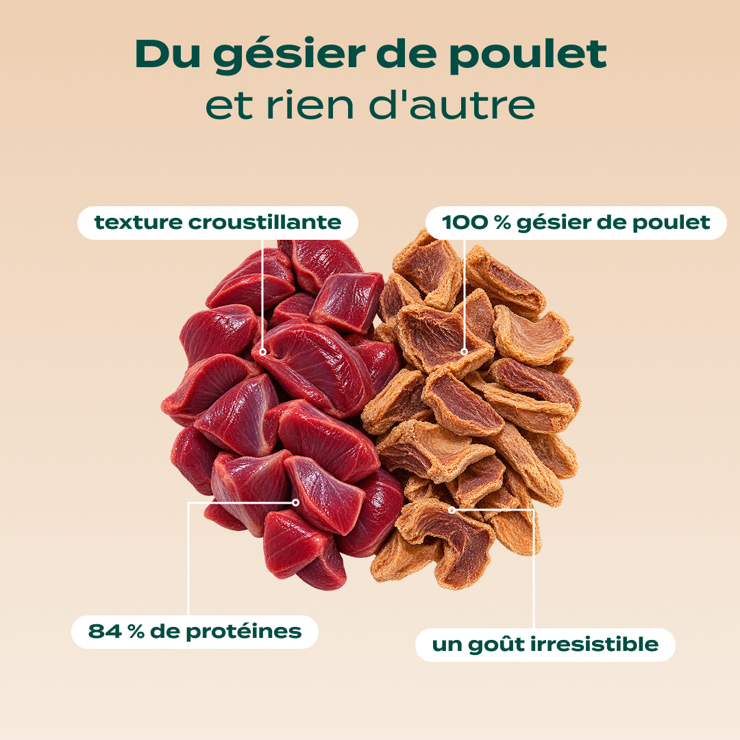 DUO SNACK SAUVAGE