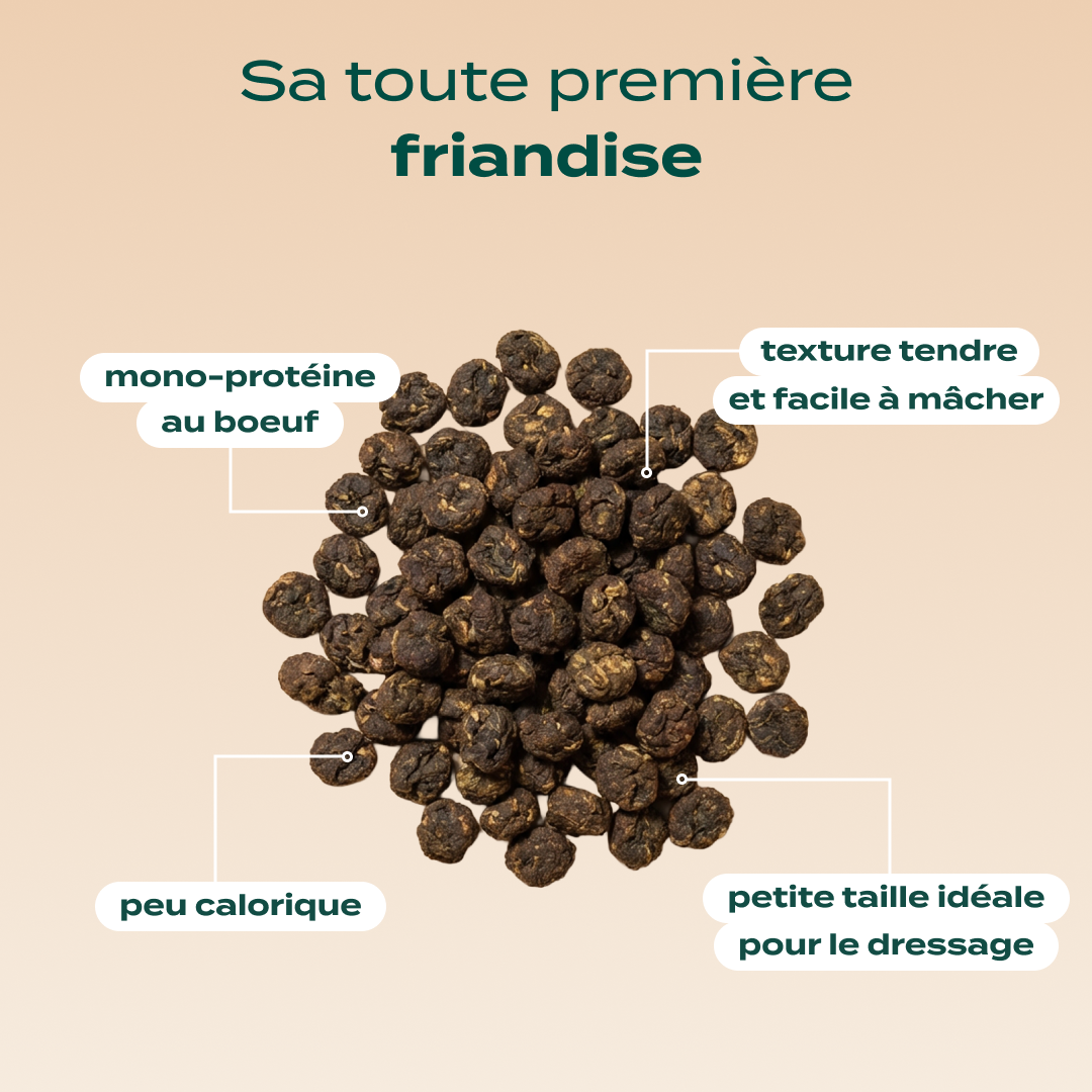 Mini viande séchée boeuf