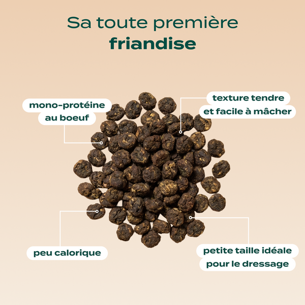 mini-viande-sechee-boeuf