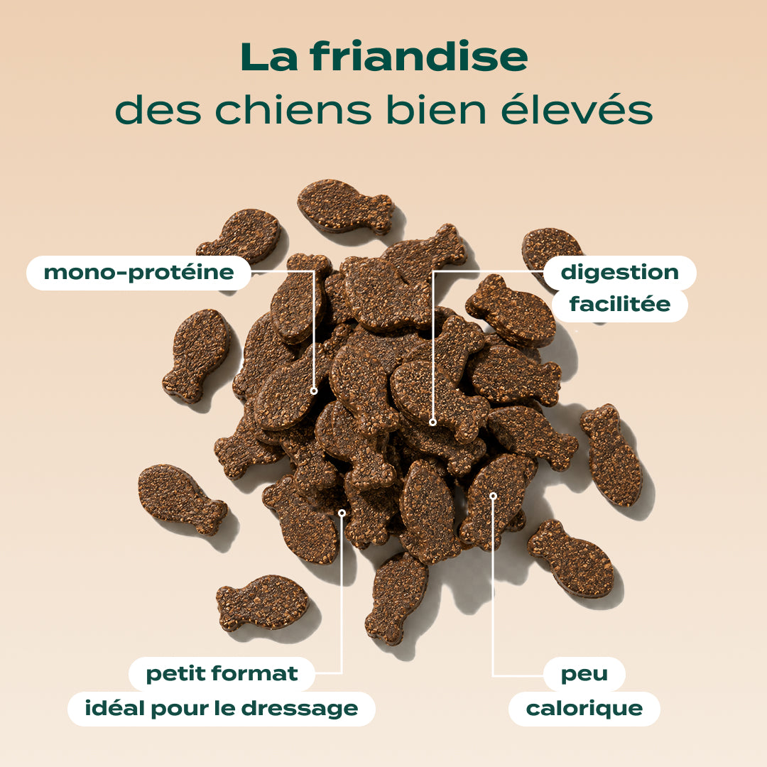DRESSAGE TRUITE