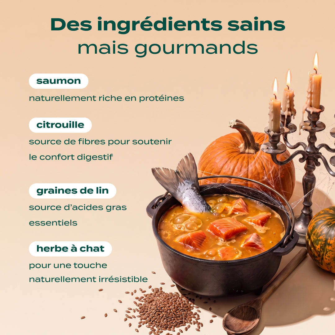 BOUCHÉES ENSORCELÉES SAUMON, CITROUILLE