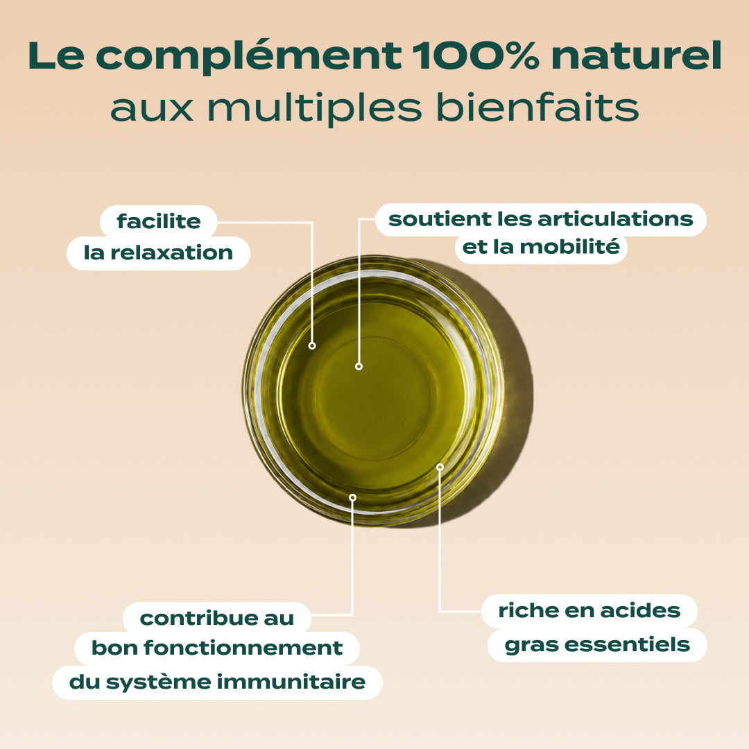 HUILE DE CHANVRE BIO