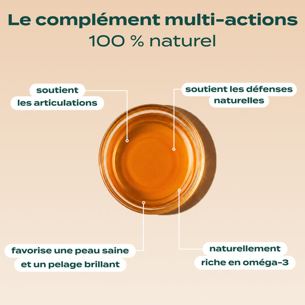 huile-de-saumon