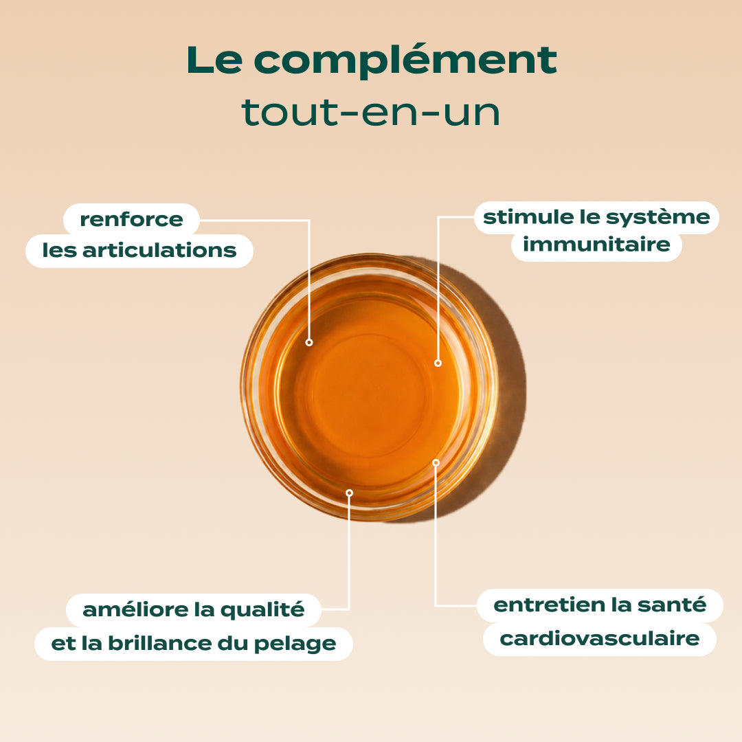 HUILE DE SAUMON