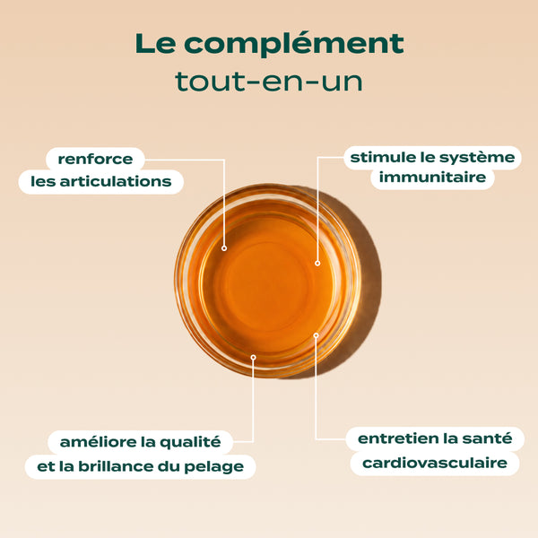 huile-de-saumon