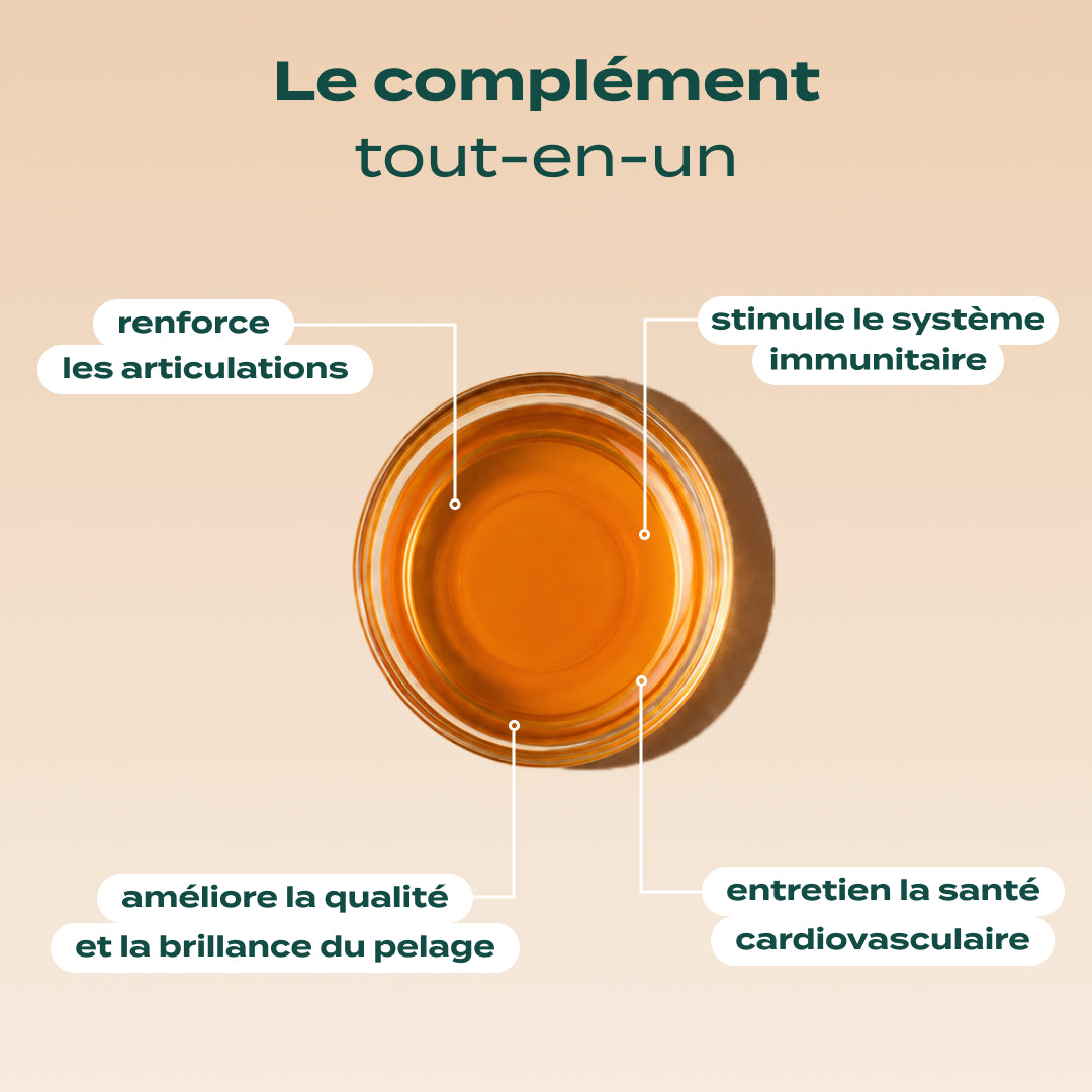 HUILE DE SAUMON