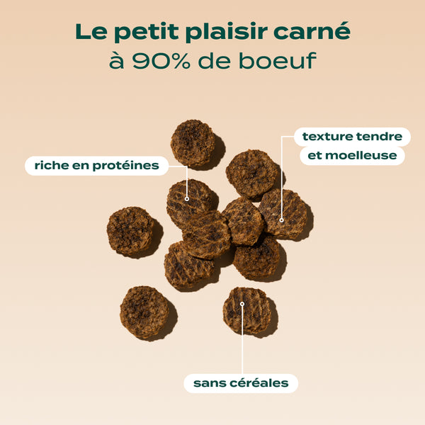 boeuf-seche-barbecue