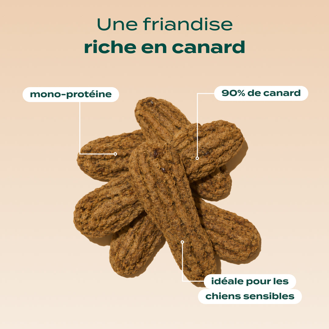 TRIO VIANDE SÉCHÉE