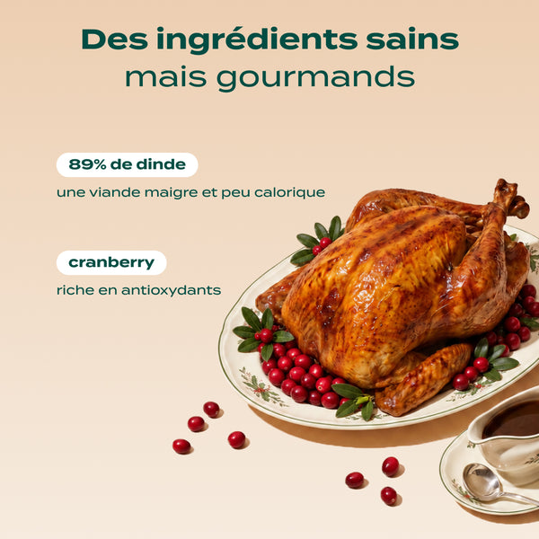 rituels-d-39-hiver-dinde-cranberry