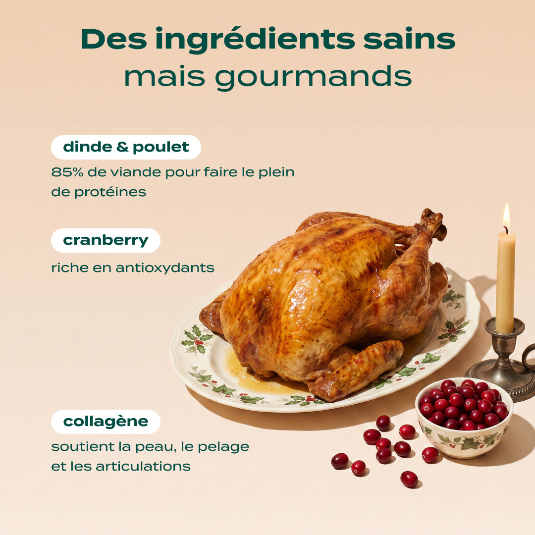 RITUELS D'HIVER DINDE, CRANBERRY