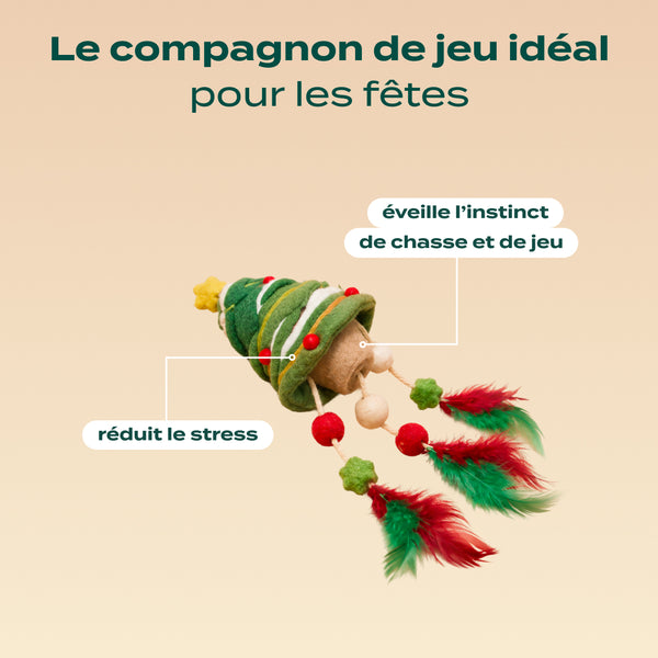 sapin-de-noel-herbe-a-chat