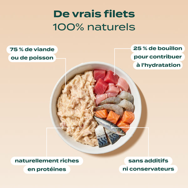 multipack-filets-6-saveurs
