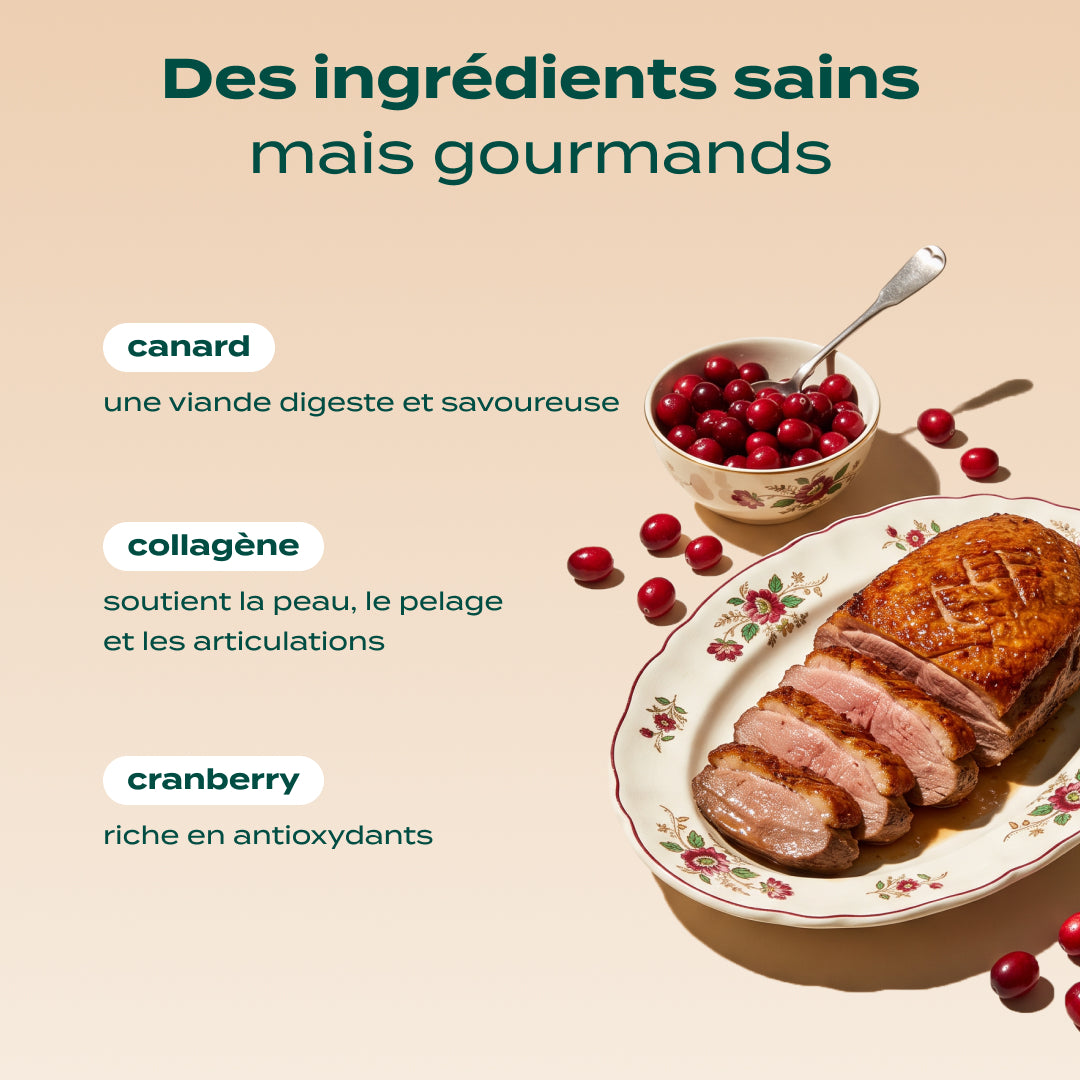 NOËL GOURMAND CANARD, CRANBERRY