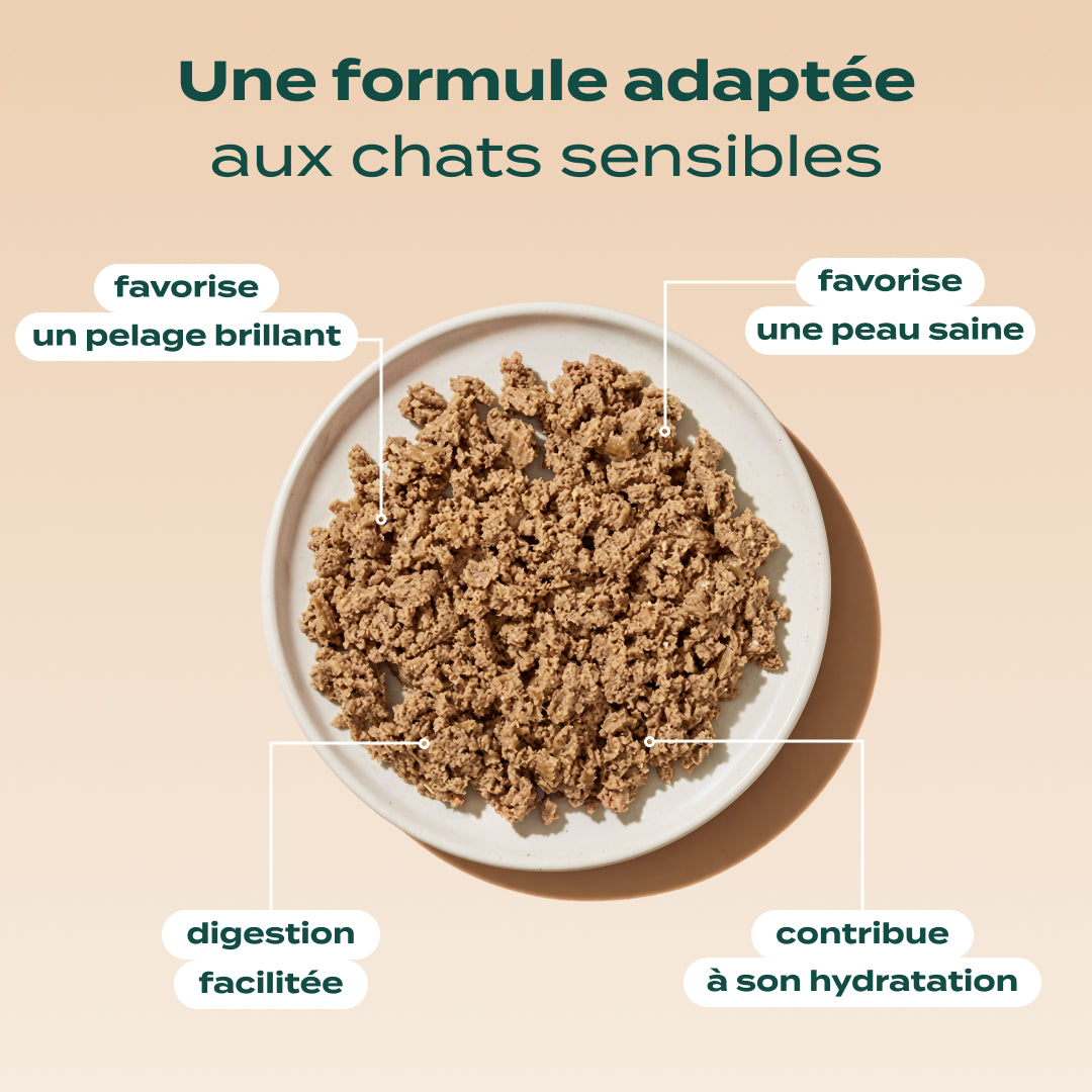 SAUMON, BASILIC