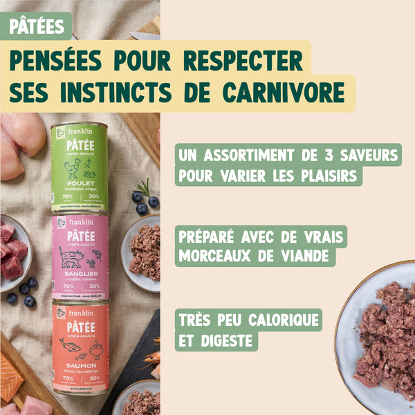 pack-decouverte-chien