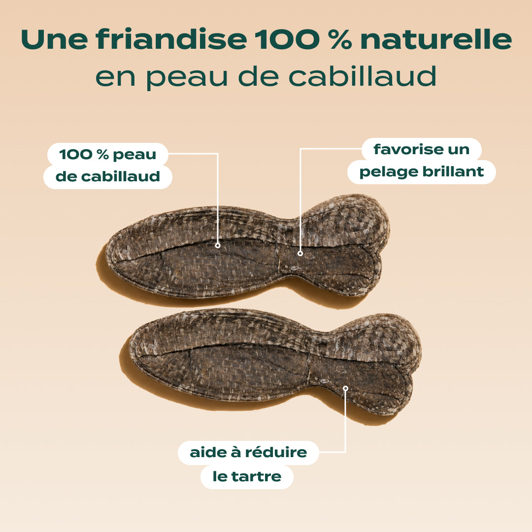 POISSONS À MÂCHER