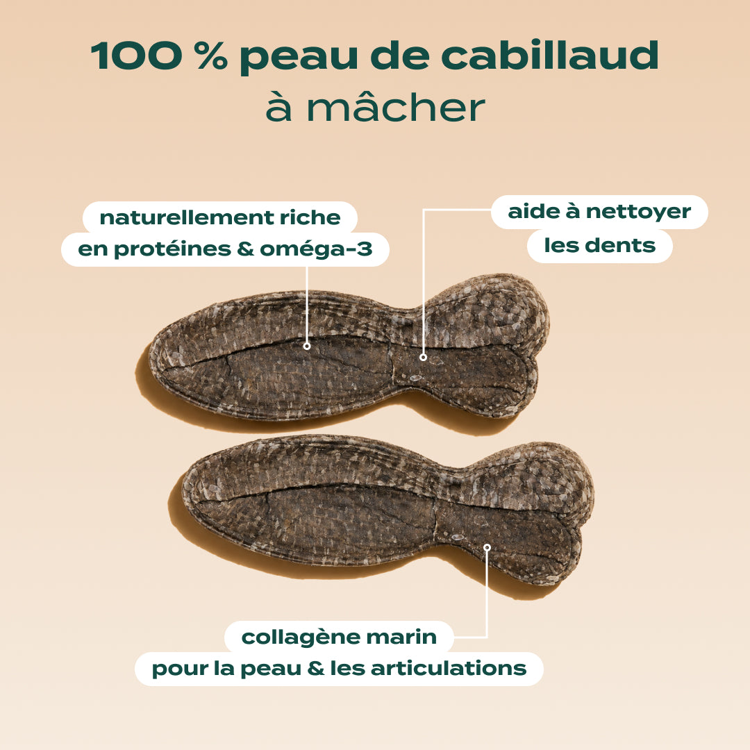 DUO 100% COLLAGÈNE