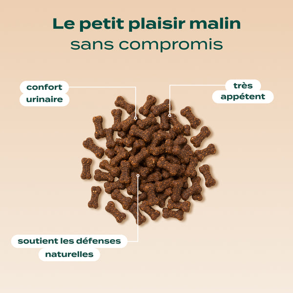 mini-snack-urinaire