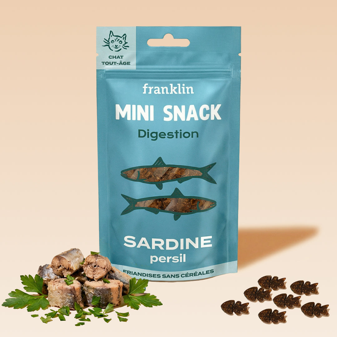 MINI SNACK DIGESTION