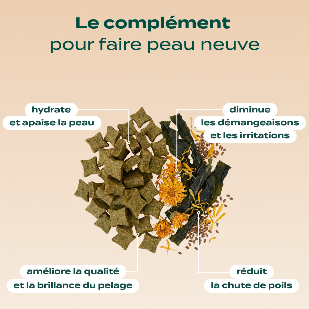 PACK PEAU ET PELAGE CHIEN