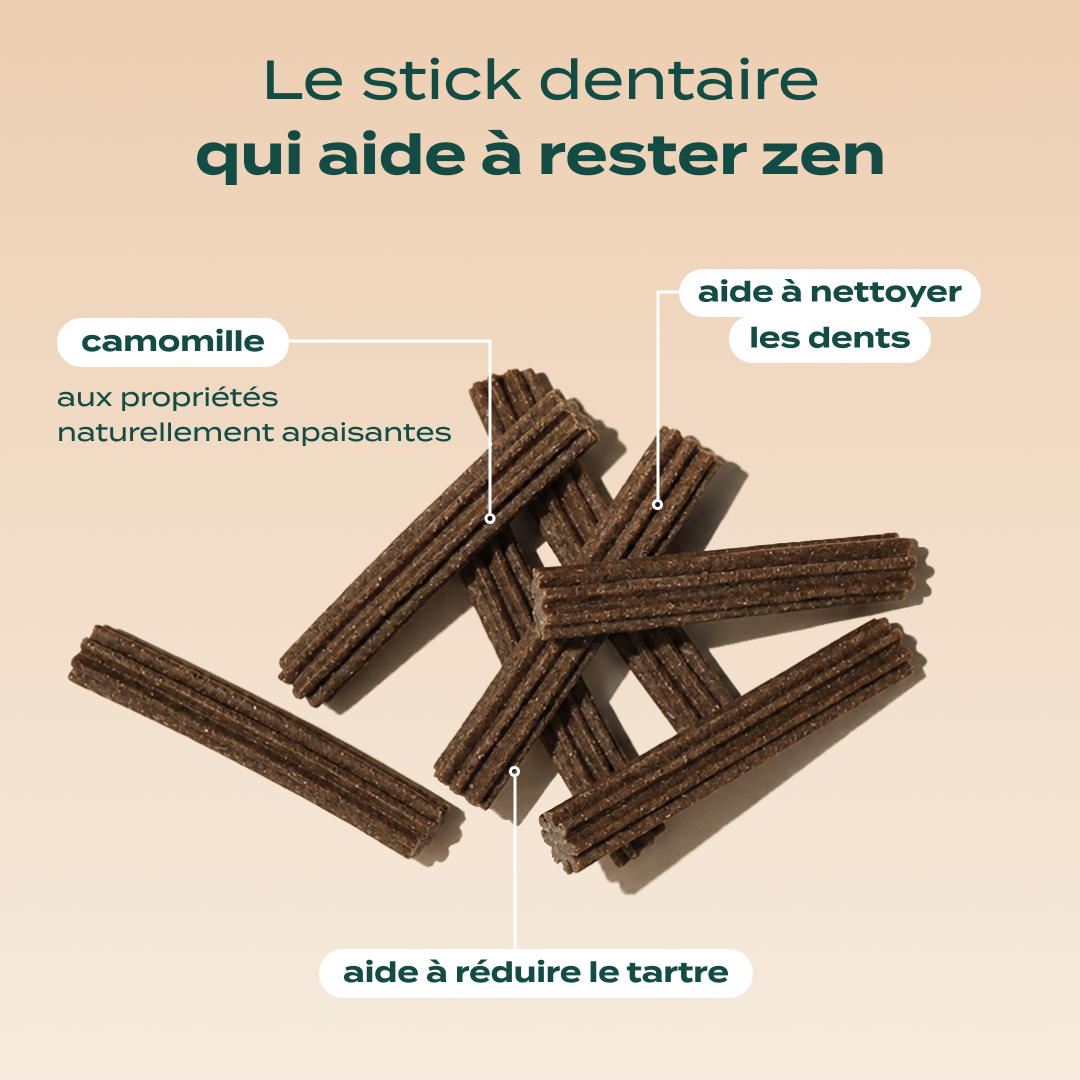 PACK STICKS DENTAIRES