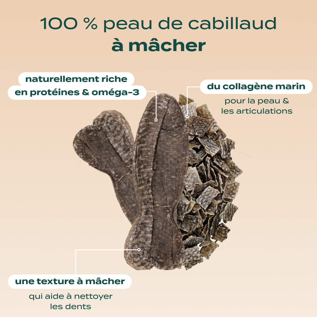 PACK PEAU ET PELAGE CHIEN
