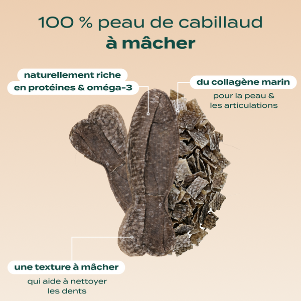 pack-peau-et-pelage-chien