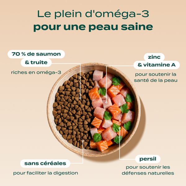pack-peau-et-pelage-chien