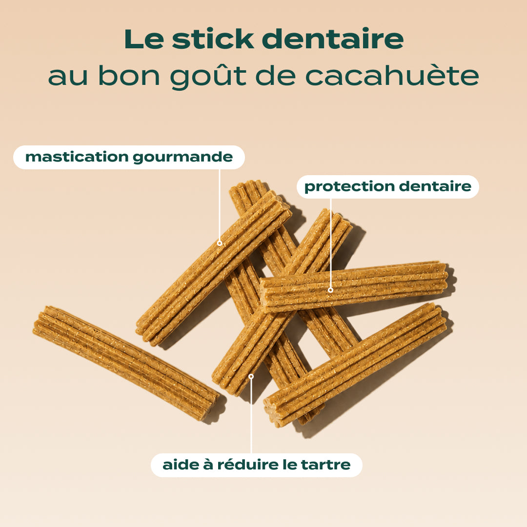 STICKS AU BEURRE DE CACAHUÈTES