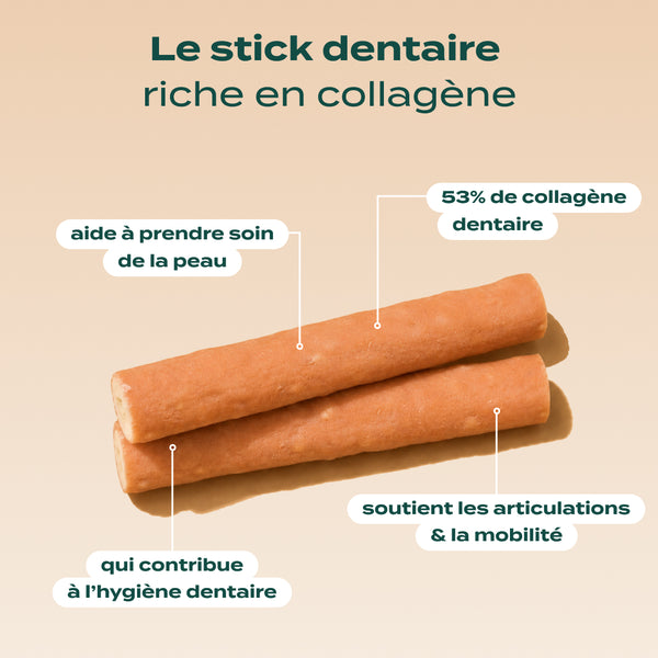 pack-sticks-dentaires