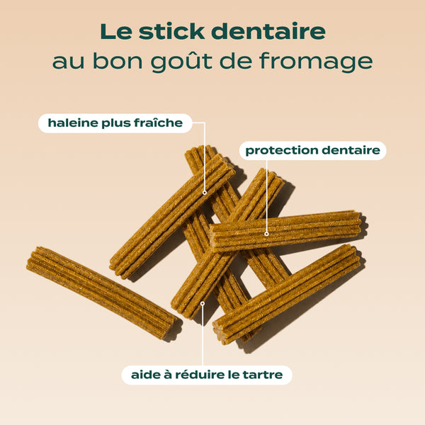 sticks-au-fromage