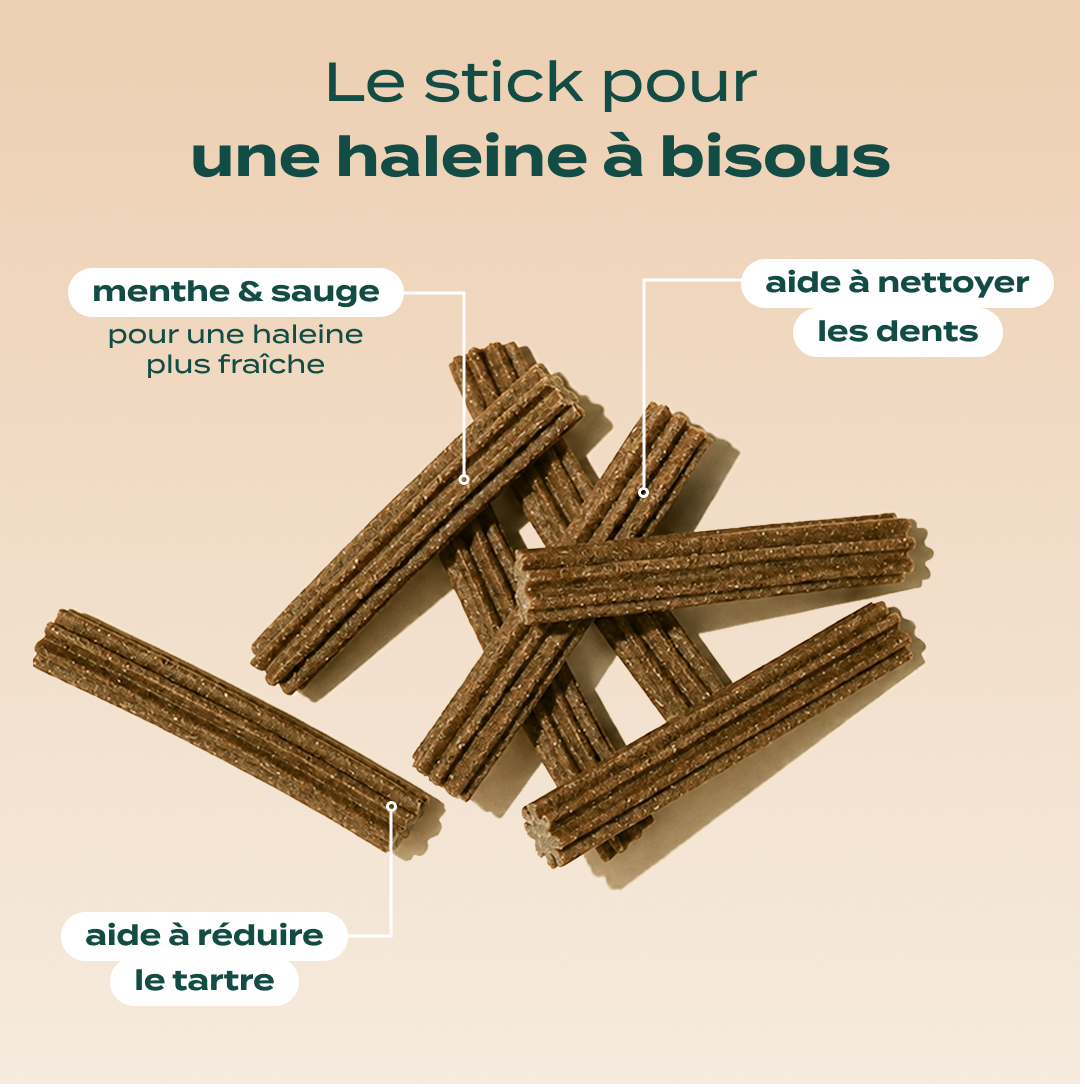 PACK STICKS DENTAIRES