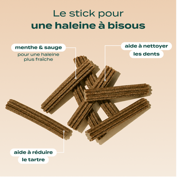 pack-sticks-dentaires