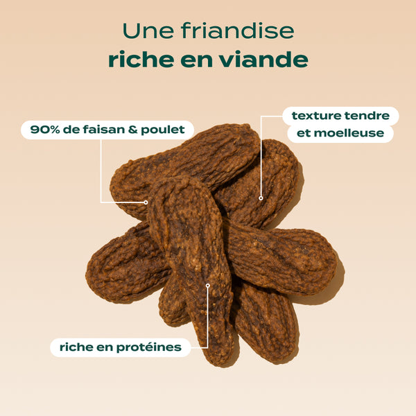trio-viande-sechee