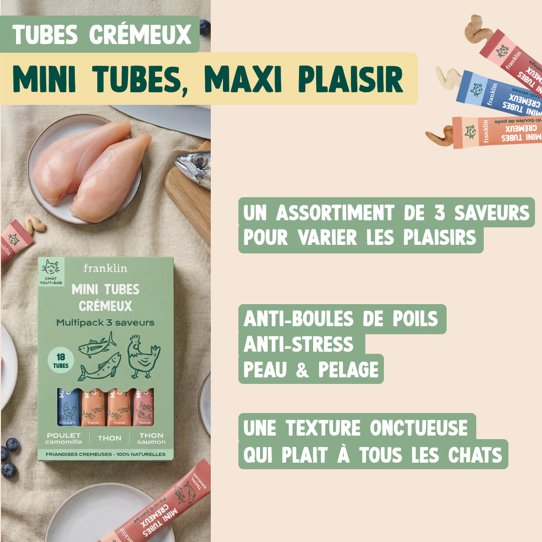 PACK DÉCOUVERTE CHAT