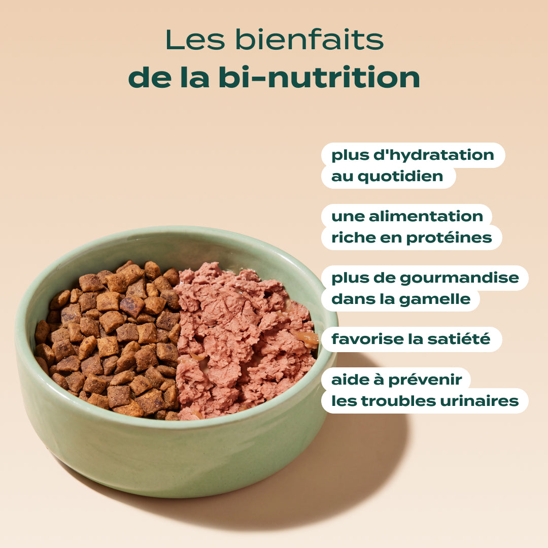 SAUMON, BASILIC