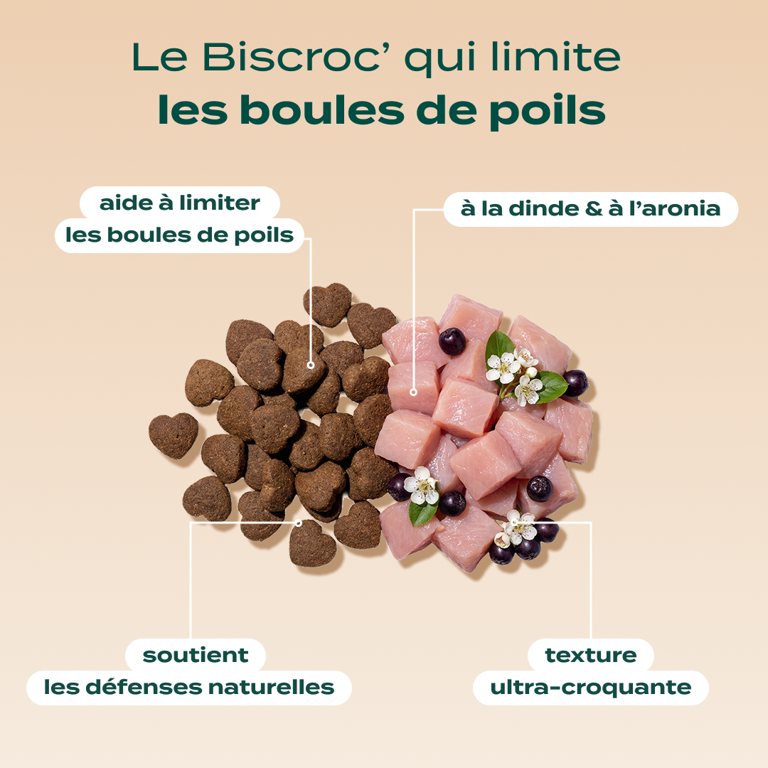 DUO BISCROC'