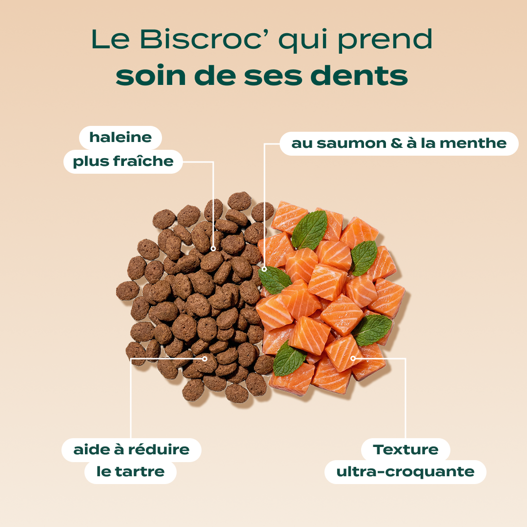 DUO BISCROC'